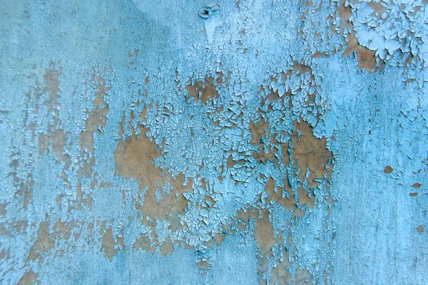 Textura Pintura Agrietada Pared Azul Corteza Pintura Seca Pared Pintada —  Fotos de Stock