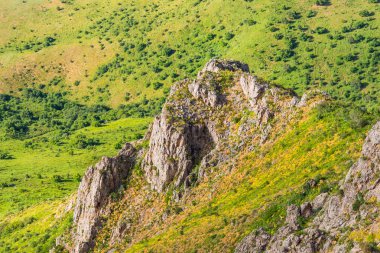 Yüksek dağlar. Taşlar ve cobblestones dağın üzerinde. Doğada bitki örtüsü. Dağlarda çiçeklenme. Taşlı yamaçlarda. Mavi gökyüzü. Doğa güneşli bir günde.