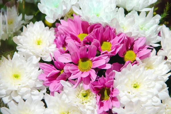 Bouquet of white and pink flowers. White dahlias. Pink daisies. Flowers folded into a beautiful composition. Multicolored flowers in a beautiful wrapper. Floristic composition. Bouquet for the holiday.