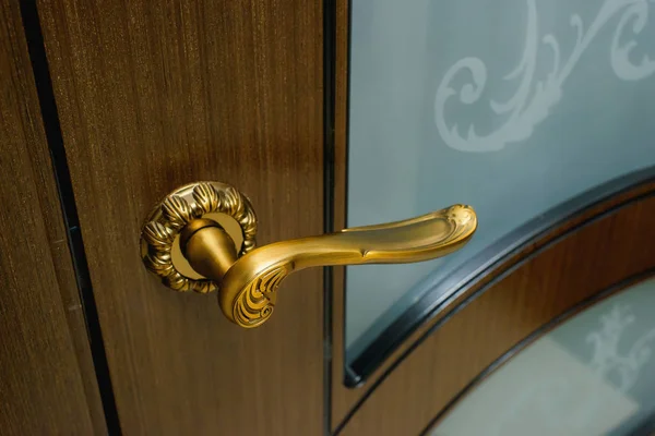 Uşă Din Lemn Vitralii Textura Lemnului Uşa Interioară Ușa Fier — Fotografie, imagine de stoc
