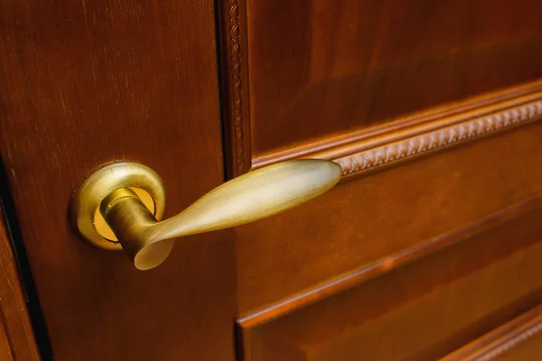 木门的质地 镀金门把手 门铰链 室内门设计 户外门设计 — 图库照片