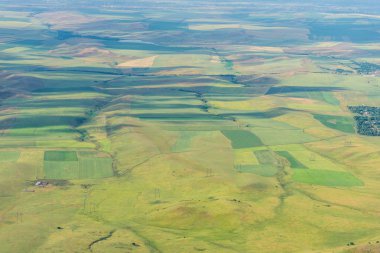Sürülmüş alanlar. Hasat. Yeşil engebeli yüzey. Engebeli arazi. Doğada bitki örtüsü. Bird's-Eye. Kırsal faaliyetleri.