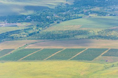 Sürülmüş alanlar. Hasat. Yeşil engebeli yüzey. Engebeli arazi. Doğada bitki örtüsü. Bird's-Eye. Kırsal faaliyetleri.
