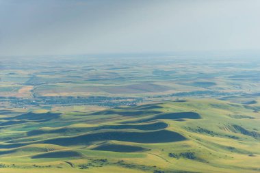 Yeşil engebeli yüzey. Engebeli arazi. Doğada bitki örtüsü. Dağ manzarası. Bird's-Eye view. Yamaçların üzerinde büyüyen çalılar.