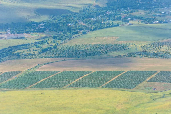 Plowed fields. Harvest. Green hilly surface. Rugged terrain. Vegetation in nature. Bird's-eye. Rural activities.