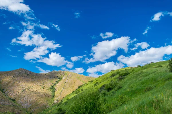 Die Berghänge Sind Mit Sträuchern Bewachsen Grüne Hügelige Oberfläche Unwegsames — Stockfoto