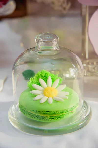 Colored Whoopi-Pie cakes under a glass dome. Sweet pastries. Round cakes. Dessert. Cooking. Candy Bar.