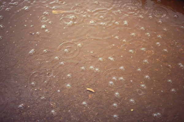 Puddle on the ground. Raindrops. The texture of the water surface. Rainy weather. Wet asphalt. Water. Circles on the water