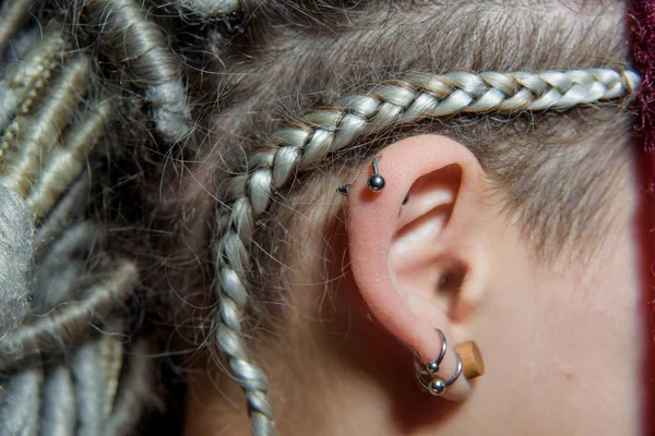 Piercing Human Ear Dreadlocks Hair Pointed Earring Piercing Pierced Ear — Stock Photo, Image