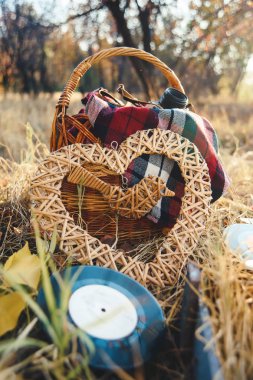 Dekor sonbahar bir fotoğraf çekimi için. Piknik doğada. Kuru ot. Hasır sepet. Kareli ekose. Kuru üzüm kalbinde hasır.