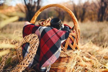 Dekor sonbahar bir fotoğraf çekimi için. Piknik doğada. Turuncu kabak. Bir buket çiçek burgundy. Hasır sepet. Kareli ekose. Bir demir sulama, bitki örtüsü duran bir grup olabilir. Yastıklar. Lamba.
