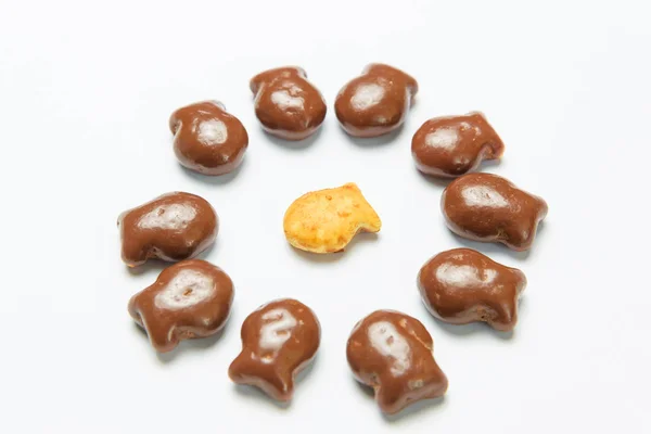 Kekse Form Von Fisch Kleine Kekse Mit Schokolade Überzogen Gebäck — Stockfoto