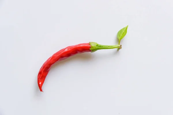 Red Chili Peppers White Background Hot Peppers White Background Vegetables — Stock Photo, Image