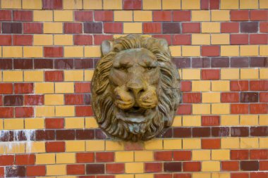 Bir aslan başı şeklinde sıva. Duvarlar renkli taşlarla kaplı. Mimarisi. Bina İnşaatı. Boşanmalar yağış etkileri nedeniyle kutunun üzerindeki. Seramik karo doku.