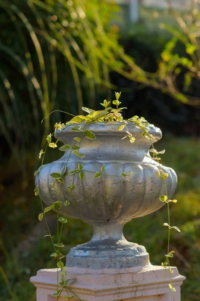 Street flowerbed. Decorative flowerpot for flowers. Vase for plants in antique performance. Decorative flowerbed under the open sky. Flowerpot on the nature. Antique vase volume form on the stand.
