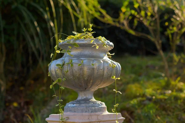 通りの花壇 花のための装飾的な植木鉢 アンティークのパフォーマンスで植物の花瓶 大空の下の装飾的な花壇 性質上植木鉢 スタンドの容積の形態でアンティークの花瓶 — ストック写真