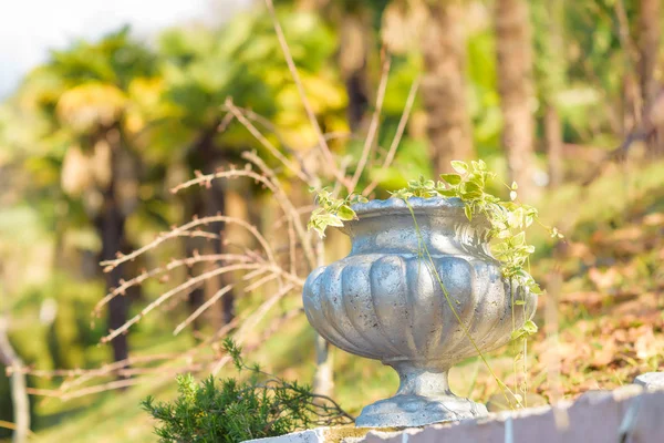 通りの花壇 花のための装飾的な植木鉢 アンティークのパフォーマンスで植物の花瓶 大空の下の装飾的な花壇 性質上植木鉢 スタンドの容積の形態でアンティークの花瓶 — ストック写真