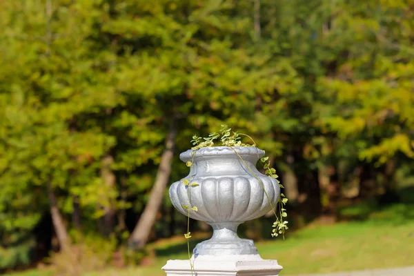 Street flowerbed. Decorative flowerpot for flowers. Vase for plants in antique performance. Decorative flowerbed under the open sky. Flowerpot on the nature. Antique vase volume form on the stand.