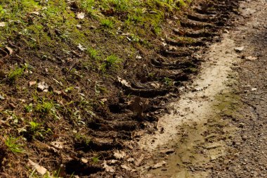 Kauçuk toprağa da üzerinden izlemek. Tarım makineleri tekerlek izleri. Kir ve çim izleme lastik kutusunun baskılı. Yerdeki lastik parça. 