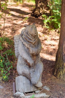 Bir ayı şeklinde ahşap oyma heykel. Bahçe Dekor. Ahşap oyma düşündüm. Doğa. Yeşil bitkiler. Kırım'dinlenme.