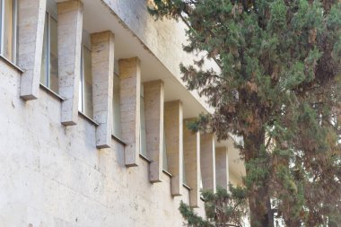 Beyaz bina. Şehir'in mimaride. Uzun yeşil ağaç. Binanın dış. İnşaat cam pencere. Odunsu ağaç gövdesi. Ladin.