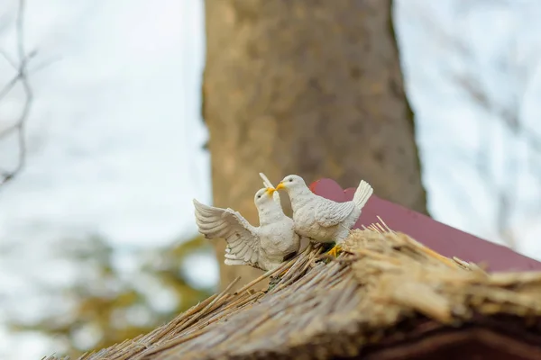 茅葺きの屋根の上に座る白い鳩 背の高い木の幹 青い空 晴れた日 クリミア半島 — ストック写真