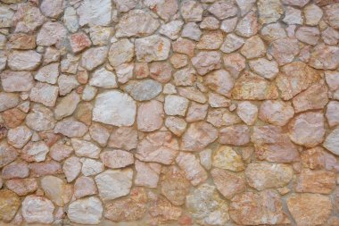 Taş duvar. Tırmanma kuru bitki. Taş duvar dokusu. Çit. Çit. Taş-beton çit. Kuru bitki.