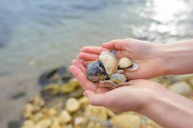 Bir deniz kabuğu tutan bir kız. Renkli deniz kabukları. Cilt doku. Plaj. Karadeniz. Kayalık plaj. Kum. Yolculuk. Turizm. Kırım'dinlenme.