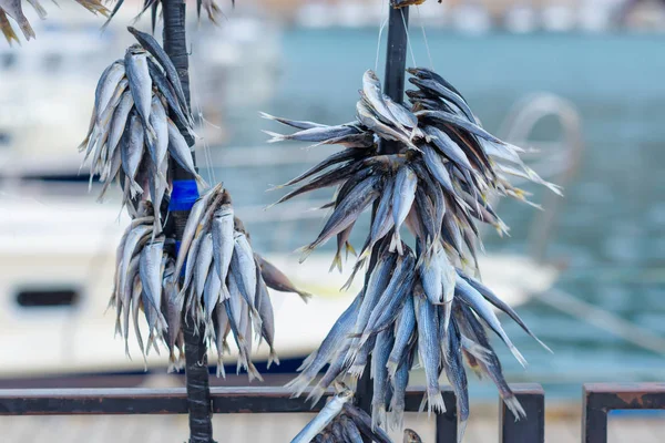 魚の大漁 目出し帽の湾での釣り ロープの張られた魚 魚介類 ヨットやボートは 岸に係留 ヤルタ クリミア自治共和国の残りの部分 — ストック写真