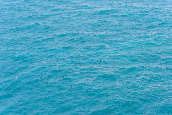 Blaues Wasser Felsige Küste Vögel Fliegen Über Das Wasser Die — Stockfoto