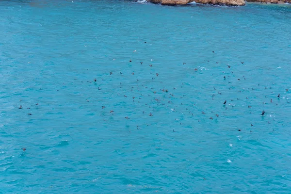 Blue water. Rocky coast. Birds flying over the water. The texture of the water surface. Waves beat on the rocks. Black Sea. Embankment of Balaclava. Yalta. Rest in Crimea. Walk along the beach. Tourism.