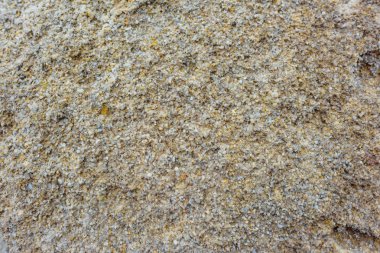 Doku ve taşın yüzeyi. Makro modu. Hard rock. Kayalık sahil deniz kenarında. Karadeniz. Büyük kayalar ve kayalar. Kırım'dinlenme. Sevastopol. Yolculuk. Turizm.