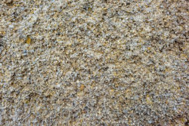 Doku ve taşın yüzeyi. Makro modu. Hard rock. Kayalık sahil deniz kenarında. Karadeniz. Büyük kayalar ve kayalar. Kırım'dinlenme. Sevastopol. Yolculuk. Turizm.