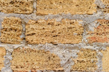 Coquina. Belgili tanımlık doğurmak çeşitliliği. Malzeme doğal kökenli. Çevre dostu yapı malzemesi. Gözenekli yapısı. Kabuk kaya blokları. Kırım'dinlenme. Sevastopol. Chersonese.