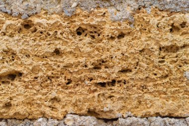 Coquina. Belgili tanımlık doğurmak çeşitliliği. Malzeme doğal kökenli. Çevre dostu yapı malzemesi. Gözenekli yapısı. Kabuk kaya blokları. Kırım'dinlenme. Sevastopol. Chersonese.