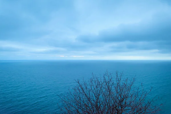 Kayalık Sahil Deniz Kenarında Karadeniz Kayaçların Bitki Örtüsü Yamaçlarında Ağaçlar — Stok fotoğraf