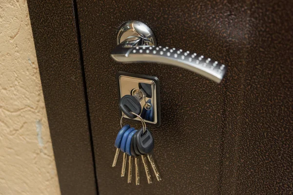 Steel Door Design Castle Keys Keyhole Metal Door Handle Burglar — Stock Photo, Image