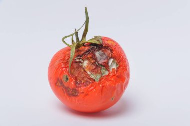 Çürük domates. Sebze kalıp. Çürük ürün. Bozulmuş yemekler. Çürük sebze. Domates kalıp ile. Küf mantarı. Domates yüzeyine kırık. Kalıp tarafından etkilenen bir ürün.