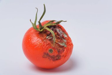 Çürük domates. Sebze kalıp. Çürük ürün. Bozulmuş yemekler. Çürük sebze. Domates kalıp ile. Küf mantarı. Domates yüzeyine kırık. Kalıp tarafından etkilenen bir ürün.