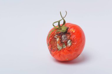 Çürük domates. Sebze kalıp. Çürük ürün. Bozulmuş yemekler. Çürük sebze. Domates kalıp ile. Küf mantarı. Domates yüzeyine kırık. Kalıp tarafından etkilenen bir ürün.