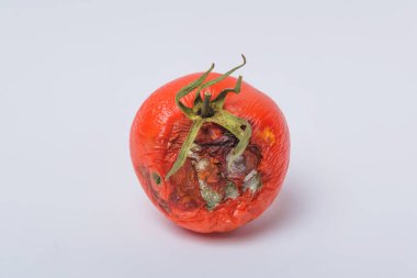 Çürük domates. Sebze kalıp. Çürük ürün. Bozulmuş yemekler. Çürük sebze. Domates kalıp ile. Küf mantarı. Domates yüzeyine kırık. Kalıp tarafından etkilenen bir ürün.