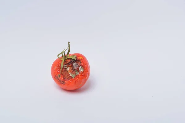 Rotten tomato. Mold on vegetables. Rotten product. Spoiled food. Rotten vegetable. Tomato with mold. Mold fungus. Broken the surface of the tomato. A product that has been affected by mold.