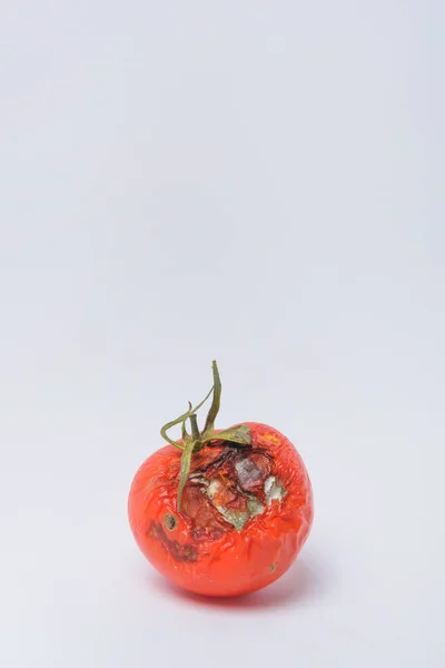 Faule Tomaten Schimmel Auf Gemüse Morsches Produkt Verdorbenes Essen Gammelgemüse — Stockfoto