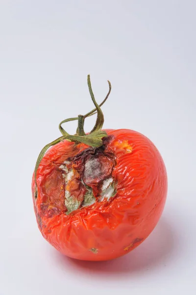 Rotten tomato. Mold on vegetables. Rotten product. Spoiled food. Rotten vegetable. Tomato with mold. Mold fungus. Broken the surface of the tomato. A product that has been affected by mold.