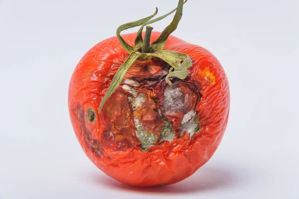 Rotten tomato. Mold on vegetables. Rotten product. Spoiled food. Rotten vegetable. Tomato with mold. Mold fungus. Broken the surface of the tomato. A product that has been affected by mold.