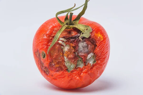 Rotten Tomato Mold Vegetables Rotten Product Spoiled Food Rotten Vegetable Stock Image