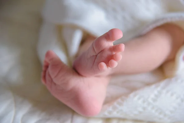 Photo Shoot Newborns Blanket Made Wool Bedspread White Small Hands — Stock Photo, Image