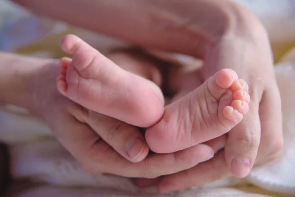 Photo Shoot Newborns Blanket Made Wool Bedspread White Small Hands — Stock Photo, Image