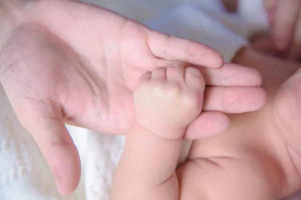 Photo Shoot Newborns Blanket Made Wool Bedspread White Small Hands — Stock Photo, Image