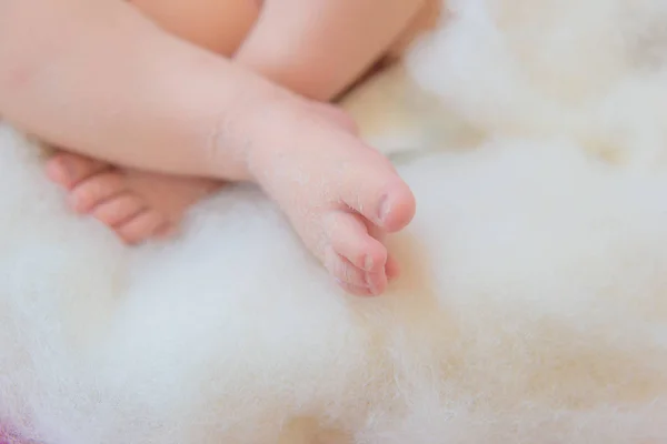 Photo Shoot Newborns Blanket Made Wool Bedspread White Small Hands — Stock Photo, Image